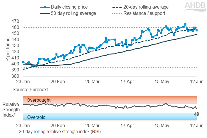 Line graph of Rapeseed futures Nov-26 contract prices over the past six months.